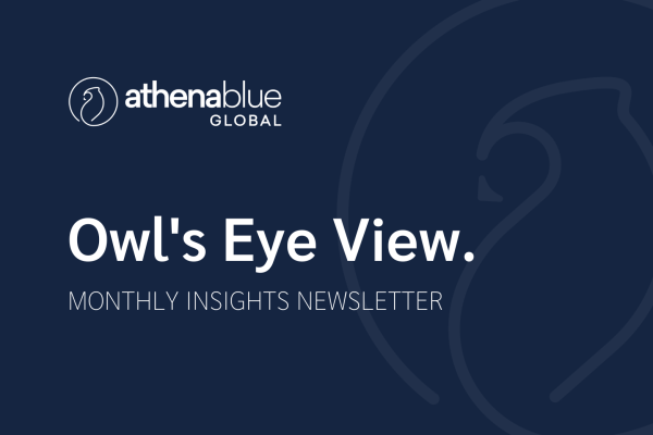 Owl's Eye View - Website Thumbnail